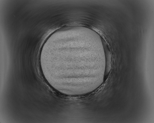 X0000086970289200705071402