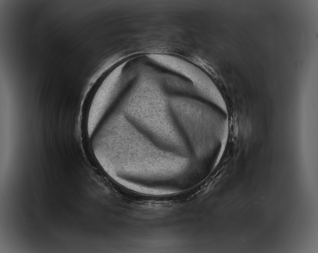 X0000086970292200705071402