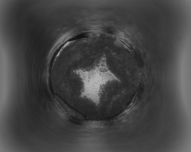 X0000086970293200705071402