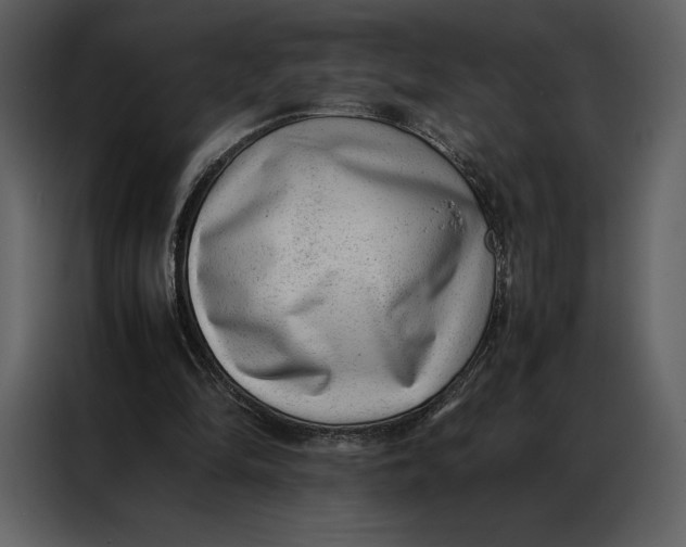 X0000086970294200705071402