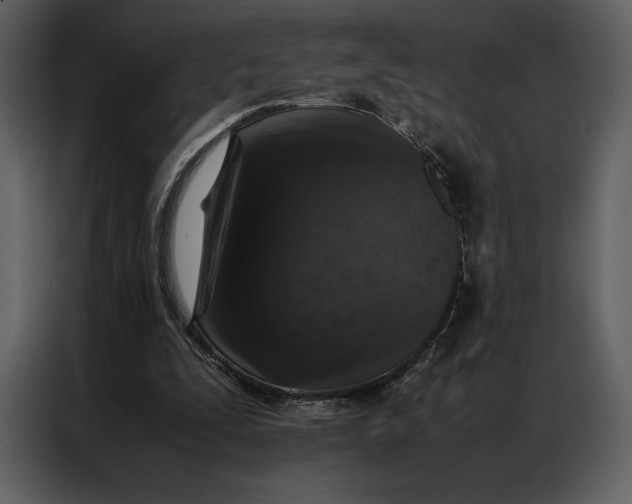 X0000086970295200705071402