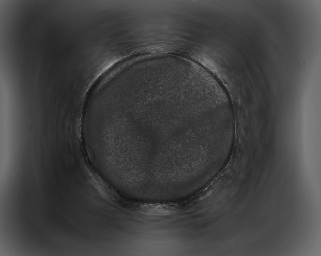 X0000086970297200705071402