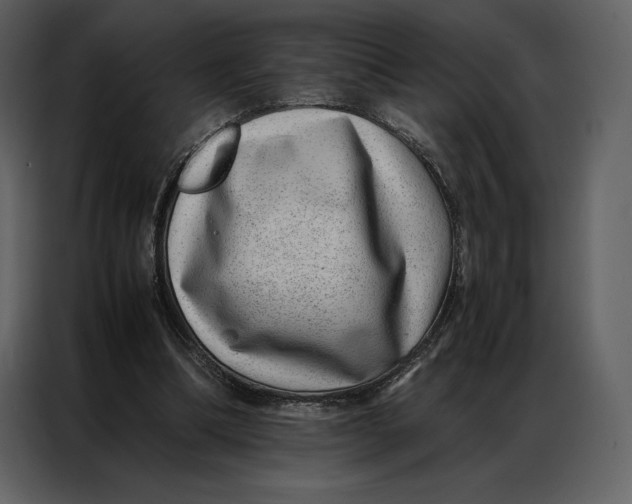 X0000086970298200705071402