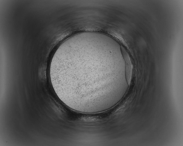 X0000086970299200705071402