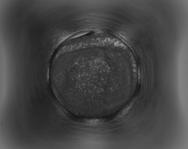 X0000086970301200705071402