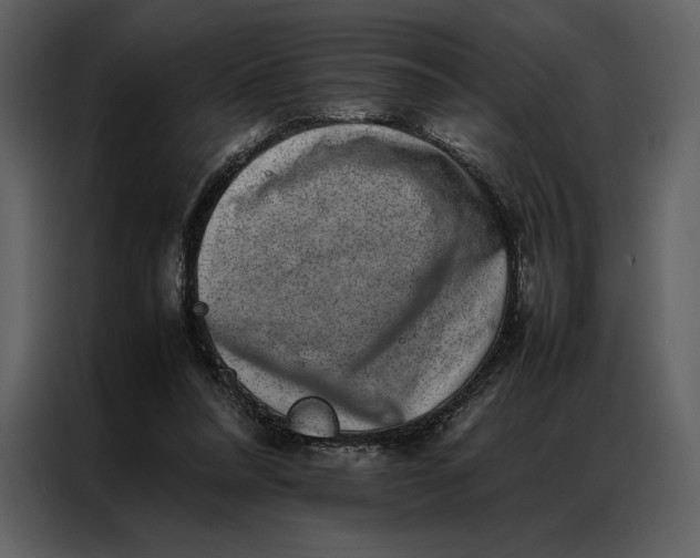 X0000086970304200705071402