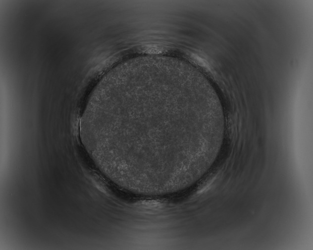 X0000086970307200705071402