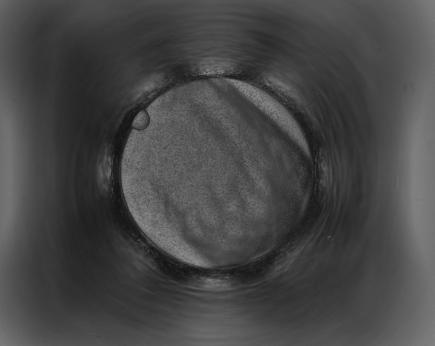 X0000086970308200705071402