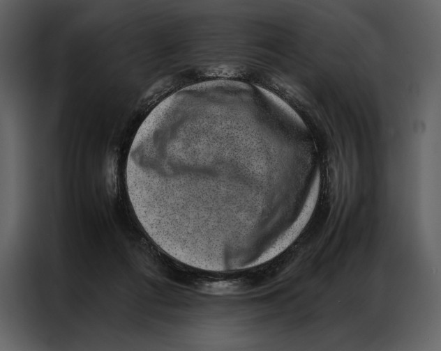 X0000086970312200705071402