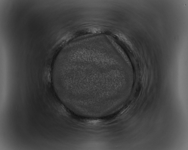 X0000086970313200705071402