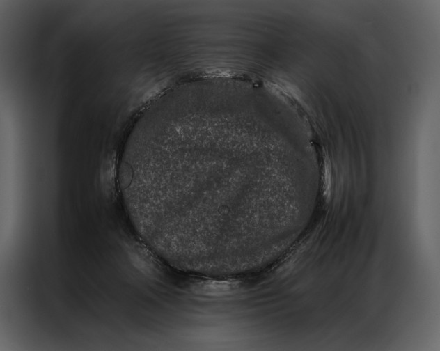 X0000086970314200705071402