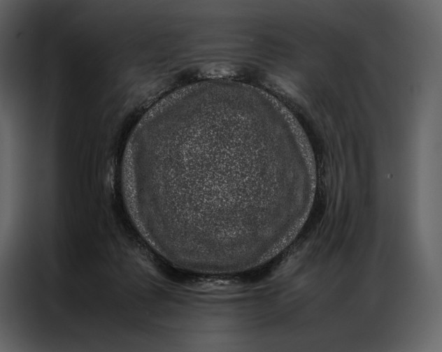 X0000086970315200705071402