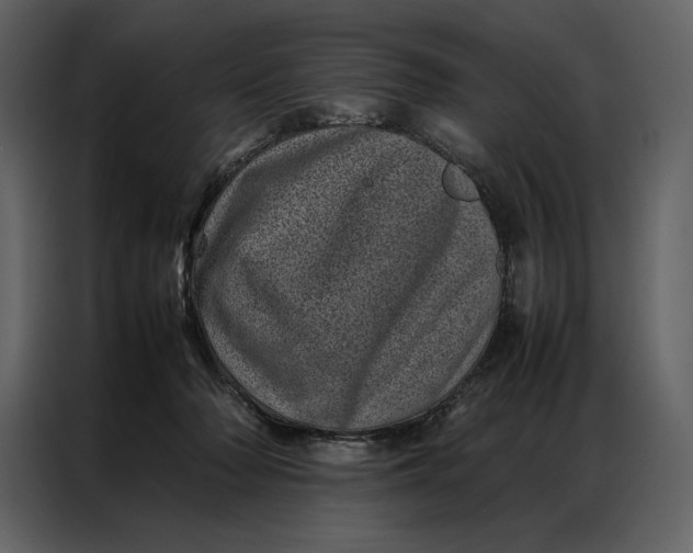 X0000086970318200705071402