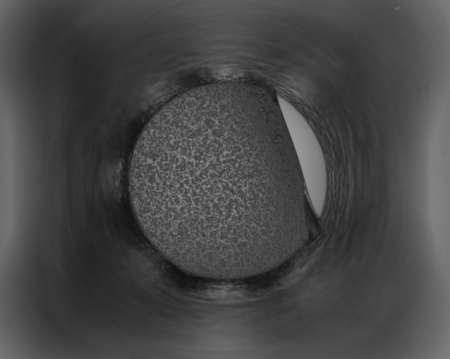 X0000086970319200705071402