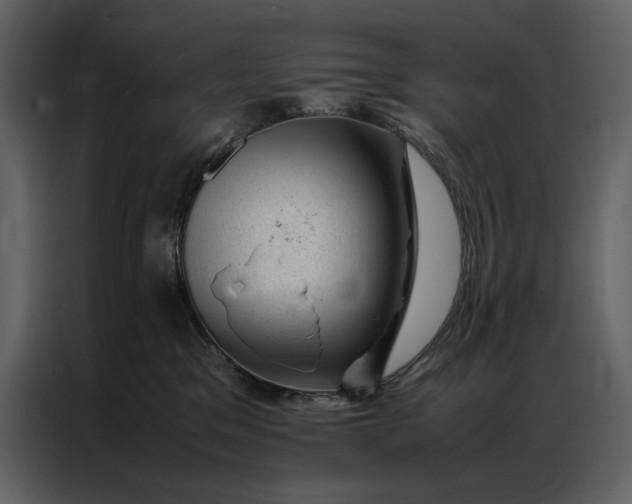 X0000086970329200705071402