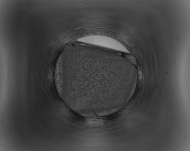 X0000086970331200705071402