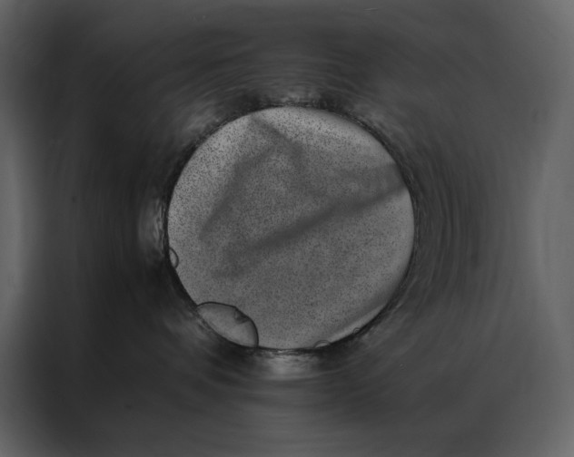 X0000086970336200705071402