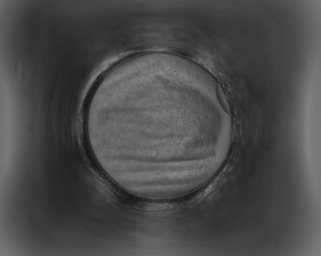 X0000086970342200705071401