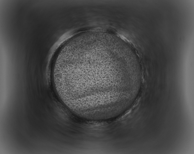 X0000086970343200705071401