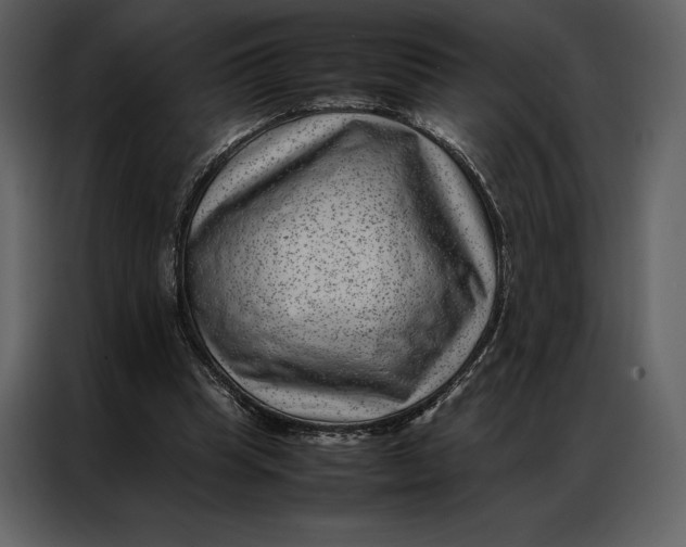 X0000086970345200705071401