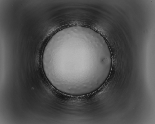 X0000086970347200705071401