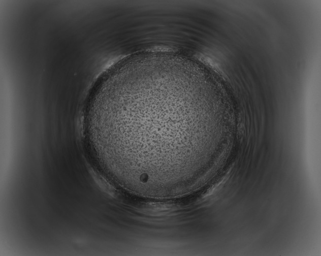 X0000086970351200705071401