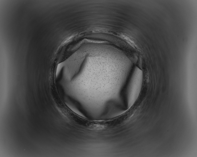 X0000086970352200705071401