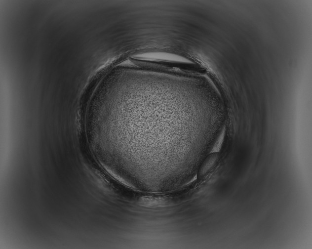 X0000086970354200705071401