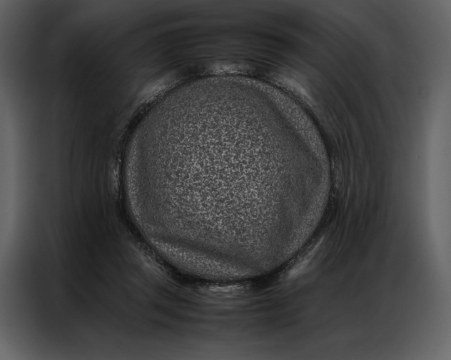 X0000086970357200705071401