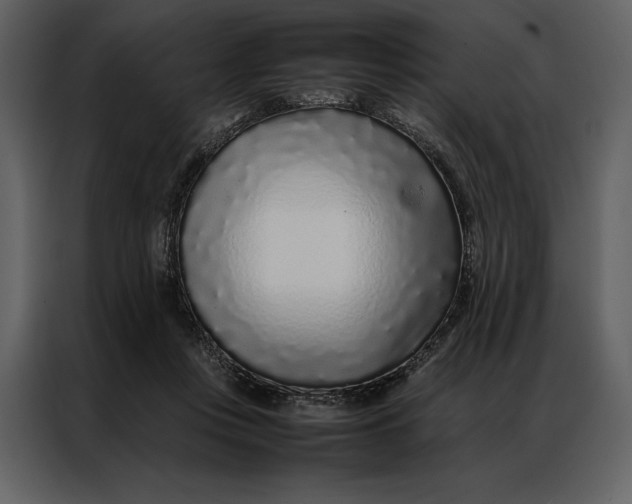 X0000086970359200705071401