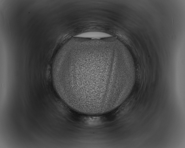 X0000086970361200705071401