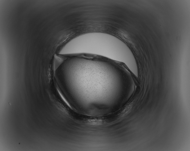 X0000086970362200705071401