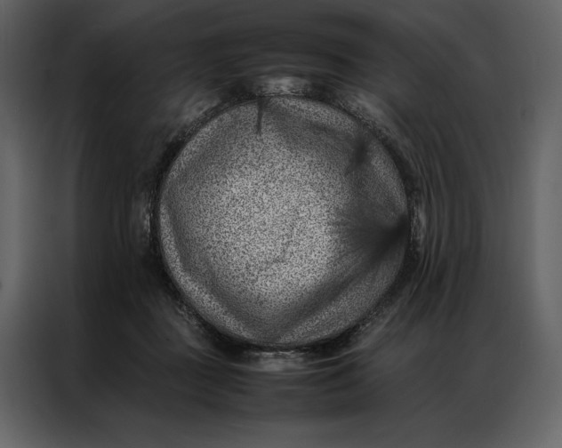 X0000086970363200705071401