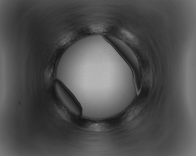 X0000086970364200705071401