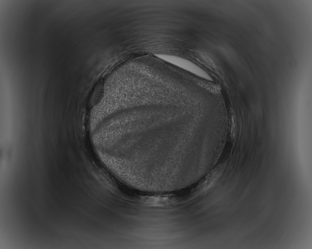 X0000086970366200705071401