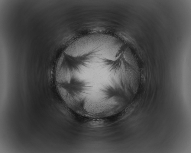 X0000086970369200705071401