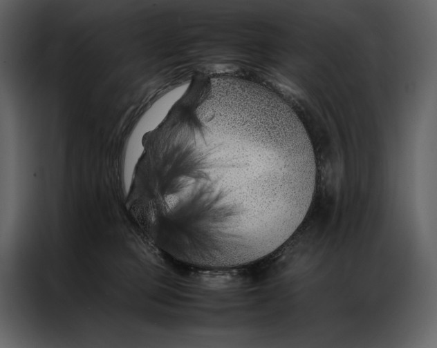 X0000086970373200705071401