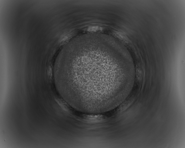 X0000086970375200705071401