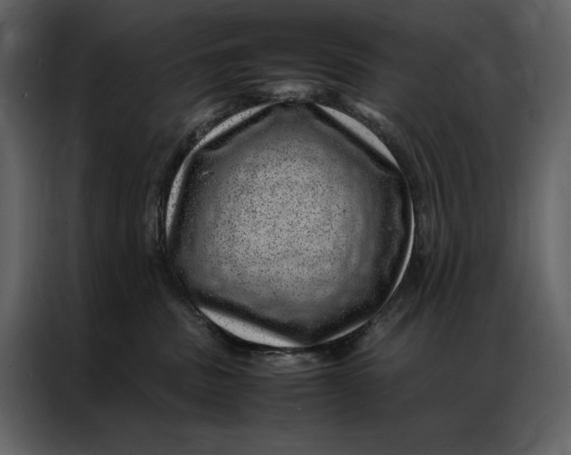 X0000086970379200705071401