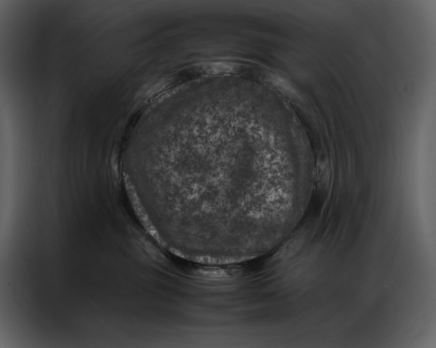 X0000086970381200705071402