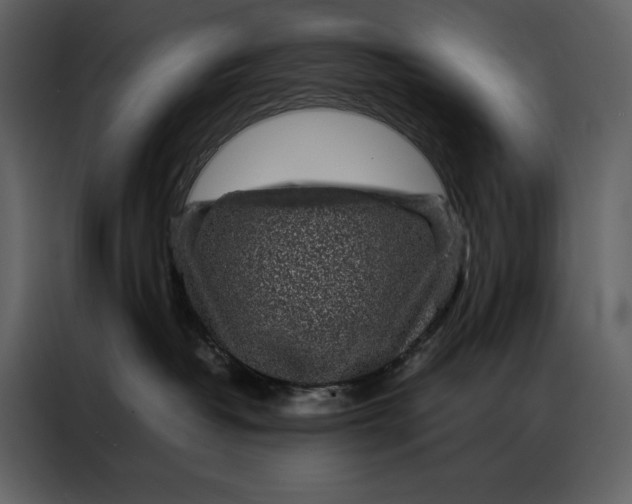 X0000086970382200705071402