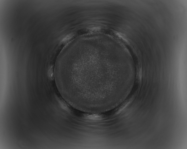 X0000086970383200705071402