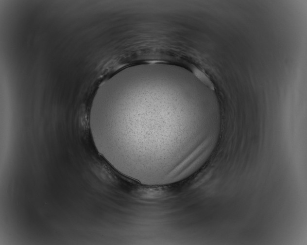 X0000086970384200705071402