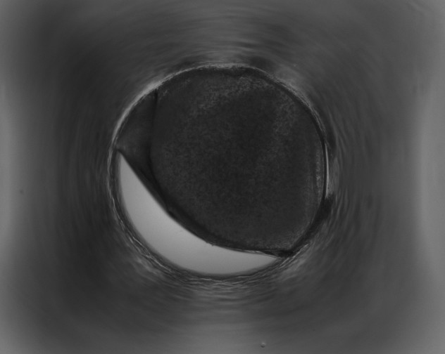 X0000086970387200705071401