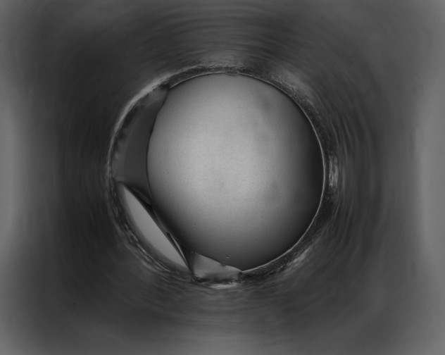 X0000086970388200705071401