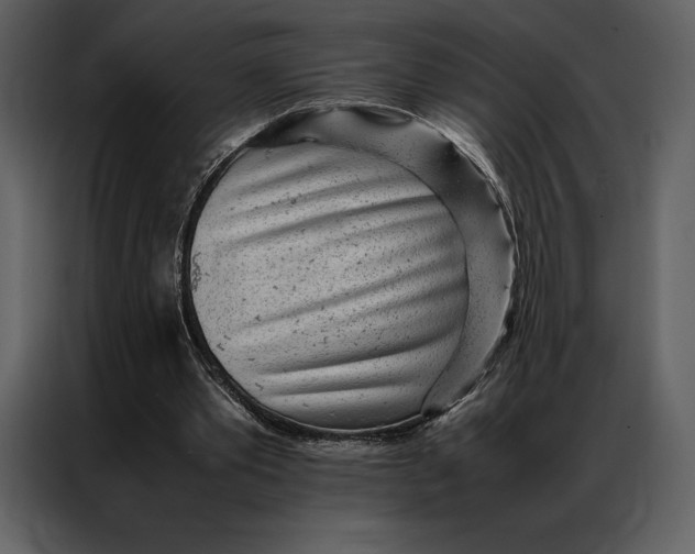 X0000086970389200705071401