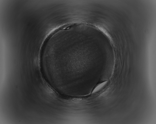 X0000086970391200705071401