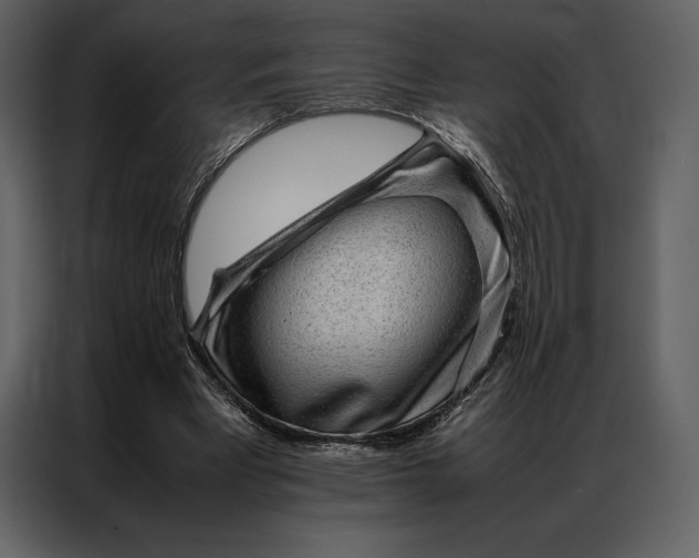 X0000086970393200705071401