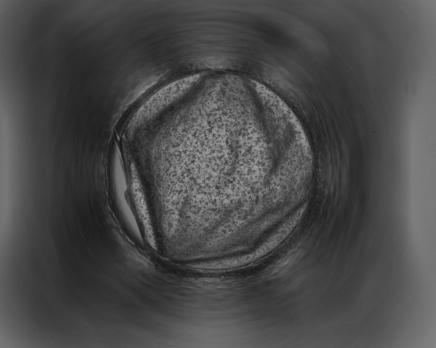 X0000086970394200705071401