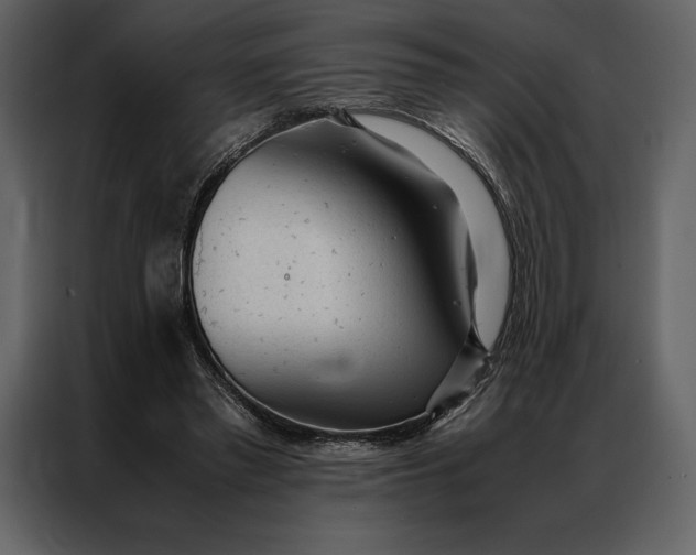 X0000086970397200705071401